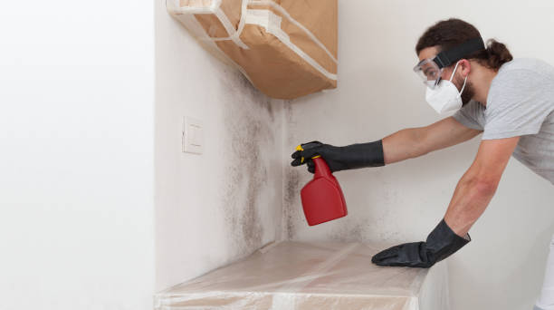 Professional Mold Remediation technician working in Central Islip, NY